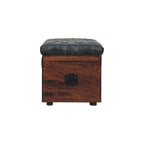 Black Buffalo Hide Leather Storage Trunk