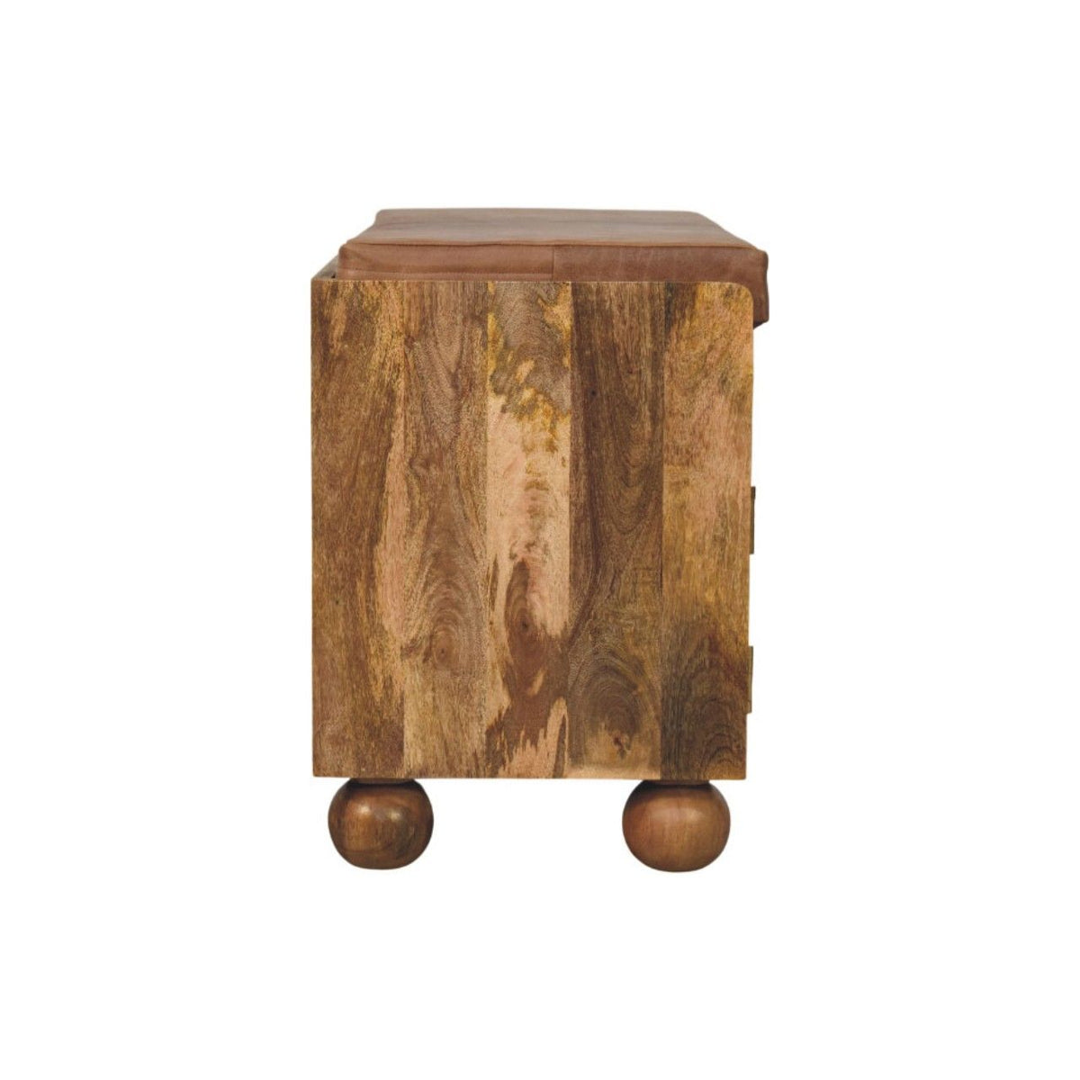 Oakridge Leather Shoe Cabinet